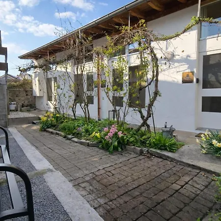 The Regent I I Castle Hill I * Thoune